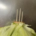 yukariix's cooksnap of when they made シャキシャキ！レタスの保存法.