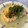 convivio's cooksnap of when they made 鮭の和風ムニエル.