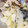 ちまてぃ〜's cooksnap of when they made かぶの辛子和え♪めっけ.