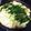 手抜きが命の龍ママ's cooksnap of when they made 我が家のもつ鍋.