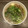 プリヲ's cooksnap of when they made 作り置き❀小松菜と きのこと蒟蒻の煮物♬.