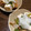 ガッちやん's cooksnap of when they made 簡単！時短！厚揚げでまるで揚げ出し豆腐.