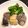 キホママ's cooksnap of when they made スズキの煮付け.