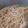 カクヨ's cooksnap of when they made ㊙技！新食感のパスタの茹で方！.