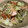 yuriko115's cooksnap of when they made 簡単　子供が喜ぶ！鮭のちゃんちゃん焼き.