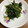 shichicook's cooksnap of when they made あと一品！ほうれん草のおかか和え.