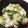 のらしお's cooksnap of when they made 里芋のポテトサラダ(柚子胡椒風味).