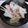 単！！'s cooksnap of when they made **セロリ＆カニカマ★マヨネーズ和え**.