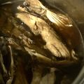 さゆりん♡'s cooksnap of when they made ひらす（ひらまさ）のあら煮.