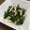 ☆さぶ☆☆'s cooksnap of when they made 簡単＊スルメイカとわかめの生姜焼き.