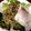 ettsuin's cooksnap of when they made ガパオ.