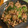 クックS3JNN2☆'s cooksnap of when they made 豚肉とピーマンのオイスター炒め.