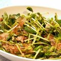 regulusYM's cooksnap of when they made 豆苗とツナ缶のシャキシャキサラダ.