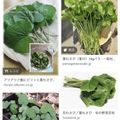 クックDMZM28☆'s cooksnap of when they made 葉わさびのポン酢漬け.