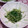 volvol's cooksnap of when they made 豆苗のからし和え.