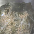 yuriレシピ's cooksnap of when they made わかめともやしのスープ.
