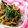 3yury's cooksnap of when they made ほうれん草の生姜ごま和え【作り置き】.