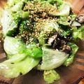 ◆syrup's cooksnap of when they made 糖質オフ♫レタスとサバ缶のサッと炒め！.