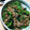 まぶたん's cooksnap of when they made 野沢菜漬けと納豆.