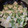 ★まぁこ★'s cooksnap of when they made 蒟蒻でご飯がすすむ！ねぎガーリック炒め。.