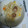 拓斗ここな's cooksnap of when they made 簡単☆炊飯器で時短ピラフ☆.