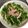Иanaco's cooksnap of when they made シャキシャキごま香る◎水菜とハムのナムル.
