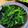 mugiyoshi's cooksnap of when they made ほうれん草の中華炒め お手軽！美味しい♡.