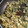 クックV8GXUG☆'s cooksnap of when they made ほうれん草たっぷり♪激うまカレー炒飯.