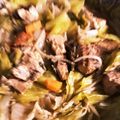 クックLCJQO8☆'s cooksnap of when they made 鯖の水煮缶 ちゃんちゃん焼き.