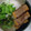 元気虫's cooksnap of when they made 厚揚げの肉巻き.