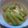 あっこ姉's cooksnap of when they made 初めて食べるふきの炊いたん.