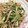 ゆーこリン♡'s cooksnap of when they made もやしと豆苗のオイスターソース炒め.