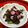 madam☆usa's cooksnap of when they made 日野菜漬けを作ってみる(浅漬けではない).