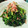 虹色♪︎ちゅーりっぷ's cooksnap of when they made 簡単！春菊と桜海老の胡麻和え.
