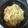 kujira1213's cooksnap of when they made 塩鮭と舞茸の炊き込みご飯.