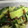 クック05N5RD☆'s cooksnap of when they made 『たたききゅうりの塩麹和え』.