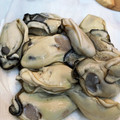 ritukomood's cooksnap of when they made 昔ながらの牡蠣の下処理～広島風～.