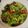クック8MGGJ5☆'s cooksnap of when they made 簡単やみつきチョレギサラダ.