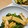 イロピリン's cooksnap of when they made 野菜の一品♪小松菜と揚げの煮びたし.
