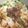 クックＦ8ＪＷ40☆'s cooksnap of when they made ✿土鍋de白菜とサバ缶の生姜煮✿　お鍋.