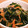 クックDAD's cooksnap of when they made えのきとワカメの簡単中華サラダ.