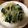 ☆あおはるママ☆'s cooksnap of when they made 簡単♪もやしとほうれん草のお浸し☆.