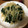 ☆あおはるママ☆'s cooksnap of when they made 簡単♪もやしとほうれん草のお浸し☆.