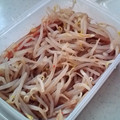 殉教者's cooksnap of when they made ☆簡単☆もやしのナムル.