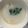 ma___111's cooksnap of when they made 即席 湯葉のあっさりスープ.