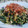 クック27BKNZ☆'s cooksnap of when they made 大量消費☆水菜と卵炒め✨白ご飯に合うよ☆.