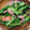 夜盗エメラルド's cooksnap of when they made 簡単！小松菜とベーコンのニンニク風味炒め.