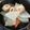 ☆hikonyan☆'s cooksnap of when they made 塩麹で円やか☆大根と竹輪の煮物.