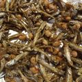 410's cooksnap of when they made 止まらにゃい〜♡福豆入り田作り（ごまめ）.