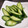 ひとみn♪'s cooksnap of when they made 得損ダイエット☆簡単キュウリのぬか漬け.
